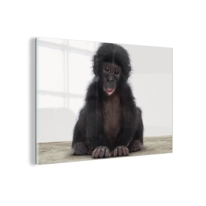 Tableau - Toile - MuchoWow - Paysage - 120x80 cm - Singe Chimpanzé s animaux  - Multicolore - Cdiscount Maison