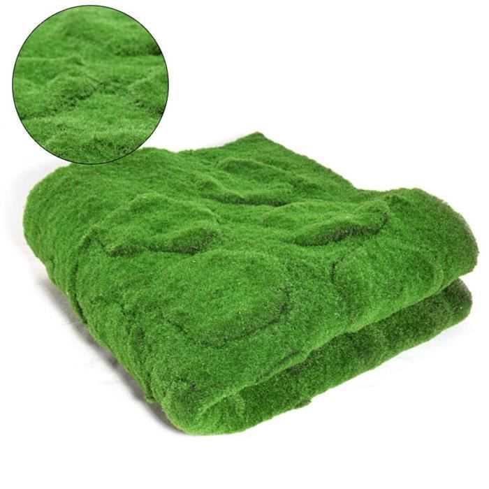 Plein De Mousse Dans Le Gazon Tapis De Gazon Decor Mousse Balcon Realiste De Tapis D Herbe De