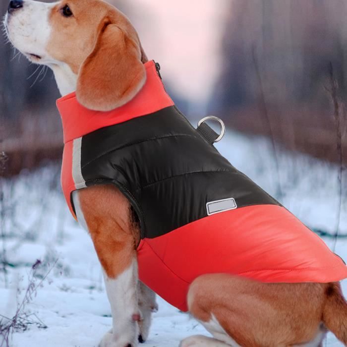 Zunea Manteau d'hiver avec Harnais pour Petite et Moyenne Taille Chien  Imperméable Réfléchissant Chiot Veste Vêtements Chaud et Rembourré  Fermeture