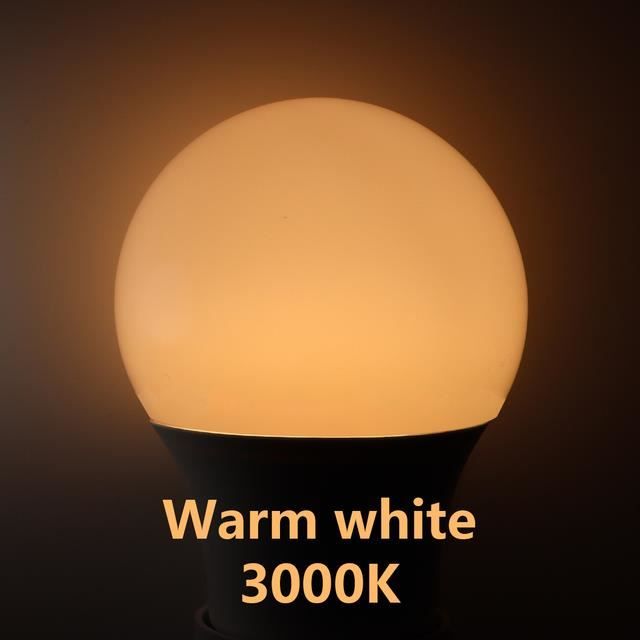 SALCAR Ampoule LED à E27 Blanc Chaud Basse Tension 12V, 10 Pièces