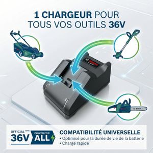 Bosch kit de batería y cargador de 18 V (2x baterías 2,0 Ah 4,0 Ah, cargador AL 18V-20