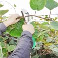 Machine à Taper Nouer Branches - FOLAYA - Outil Agriculture Manuelle pour Attaches Plantes - Acier Inoxydable-3