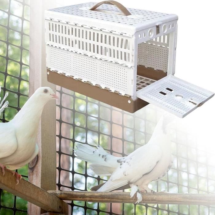 Cage pour pigeon