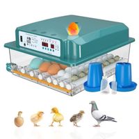 Couveuse Oeuf Automatique 24-36 Oeufs, Incubateur Oeuf Automatique, Retournement Automatique des œufs et Surveillance de l'humidité