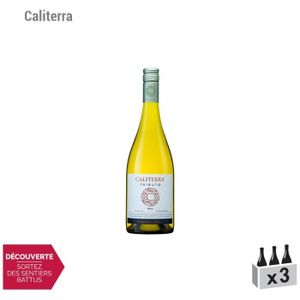 VIN BLANC Chili Tributo Chardonnay Blanc 2015 - Lot de 3x75c