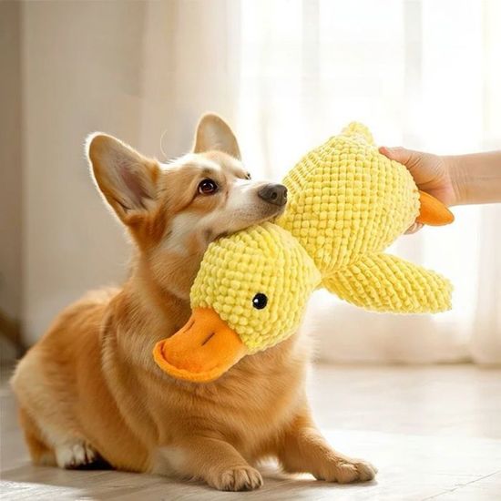 Jouet Anti-Stress Canard Pour Chien - Peluche Grincement Doux - Adapté Toutes Tailles (Petit, Moyen, Grand) - 3