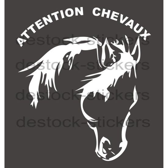 Stickers autocollant ATTENTION CHEVAUX pour camion, van en 66 cm en  Blanc - Cdiscount Auto