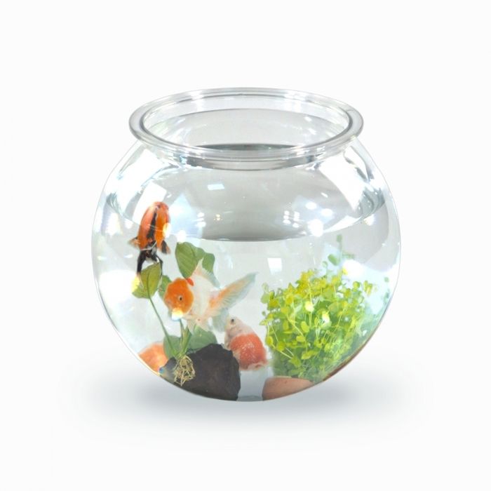 Meilleurs prix pour Aquarium transparent Mobiclinic aquarium rond 4L eco-friendly Petits poissons Facile à nettoyer Centre de table Jardin d'eau Nemo