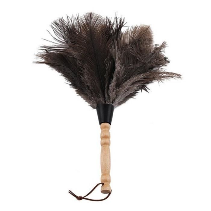 Plumeau Doux En Vraies Plumes De Dinde 35 Cm – Outil De Nettoyage Léger Et Écologique Pour Meubles, Voiture, Écrans (Blanc)
