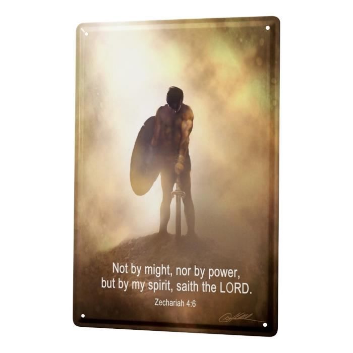 Plaque En Metal 30 X 40 Cm Bidon Nostalgique Guerriers De Citation De Bible Achat Vente Objet Decoration Murale Cdiscount
