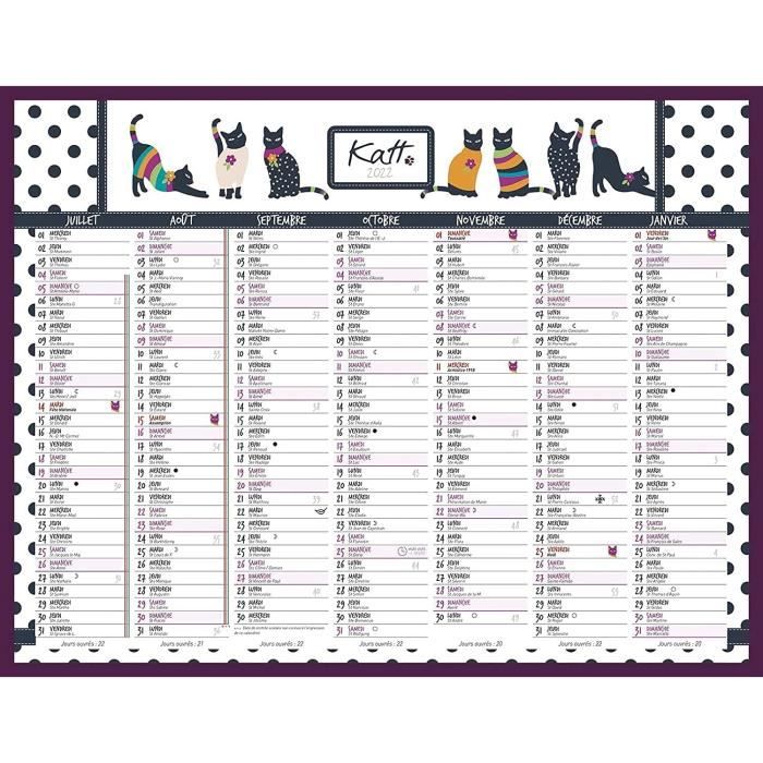 Calendrier Bambou 2023 Lecas 1 Calendrier Mural Annuelle Illustré Katt 202227 X 21 Cm Période :  Décembre 2021 À Janvier 2023 320 - Cdiscount Beaux-Arts Et Loisirs Créatifs