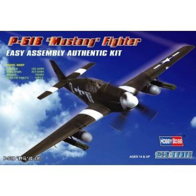 A Pair of Mustangs - 1/48 Hobby Boss P-51