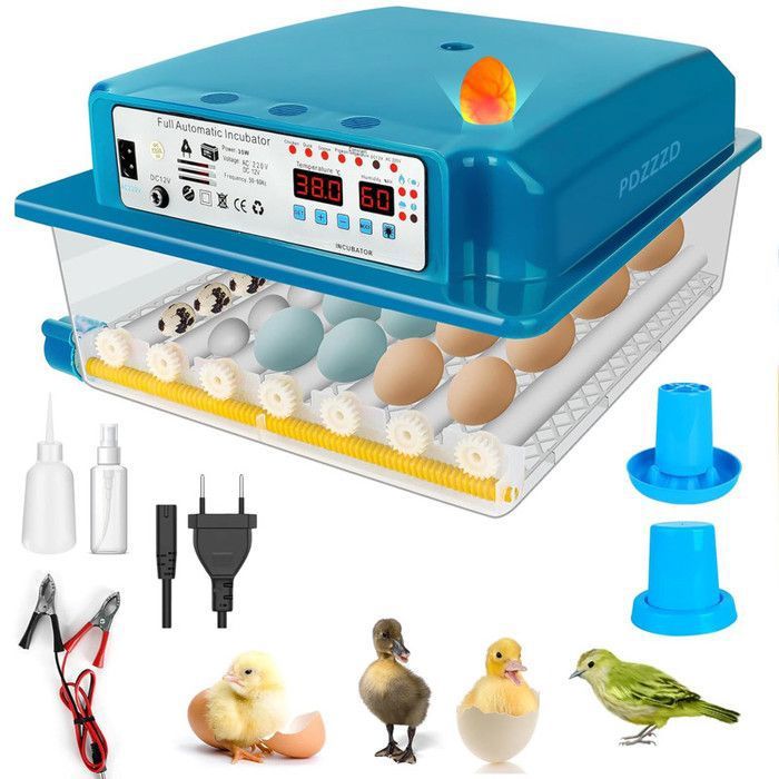 Meilleurs prix pour Couveuse Oeuf Automatique 24-36 Oeufs, Incubateur Oeuf Automatique, Retournement Automatique des œufs et Surveillance de l'humidité