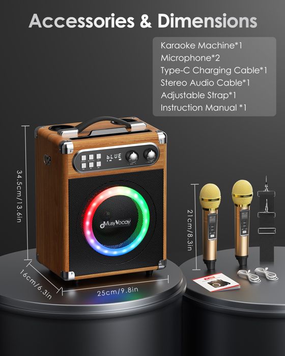 Haut-parleur Portable Karaoké Avec 2 Microphones - Machine à Karaoké Pour La Maison, Neuf, Origine Chine