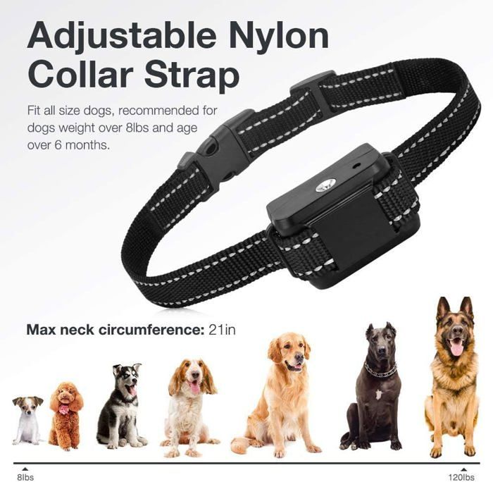 Collier Anti-aboiement Chien à Spray Citronnelle – 3 Niveaux Sensibilité, Rechargeable, étanche IP67, 2 Sangles