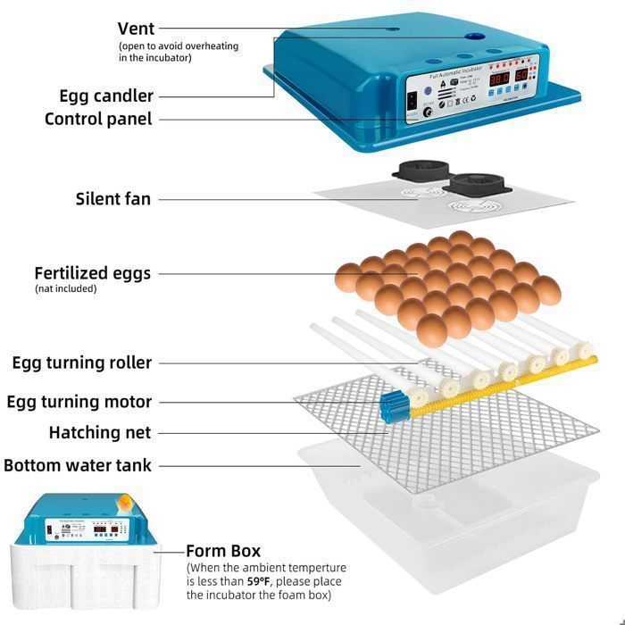 Incubateur Automatique 24 Œufs - 5 Modes, Retournement Auto, Contrôle Humidité, Pour Poules, Canards, Cailles Et Plus - 2