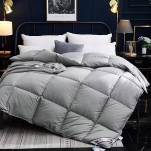 COUETTE Couette Complète En Duvet D'Oie 100% - Gris clair - Version 220x240cm 3000G