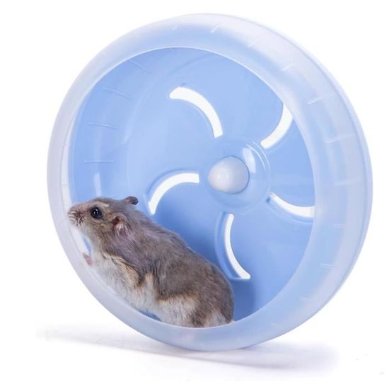 Roue D’exercice En Bois Pour Hamster Nain Et Gerbilles – 19 Cm, Silencieuse Et Naturelle (sans Produits Chimiques)