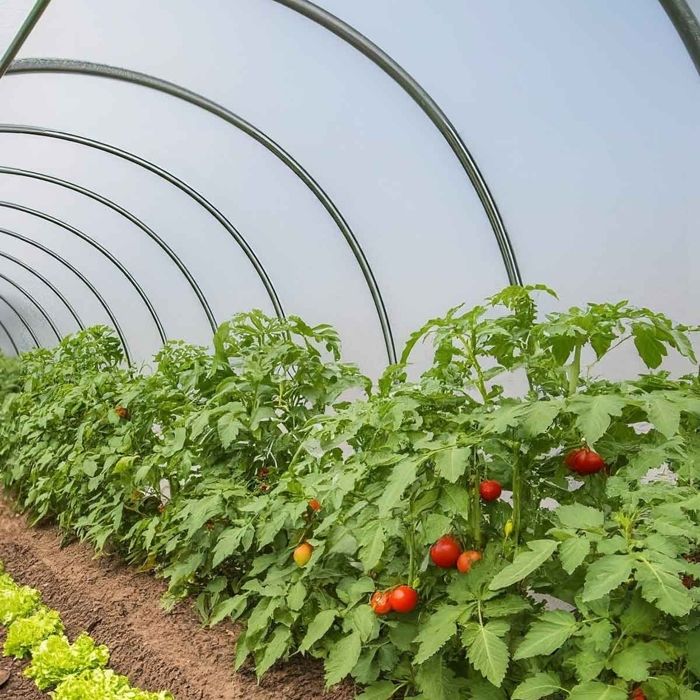 Bâche transparente 3m de large, longueur de 4m (3m x 4m) pour serre de jardin, PEBD 150 microns très épais.