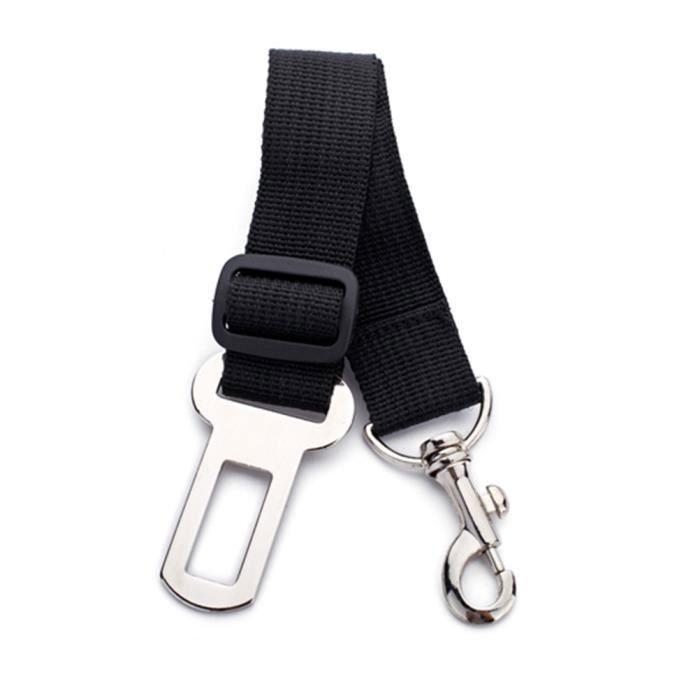 Laisse de sécurité - Réglable - Nylon - Noir - Pour chien et chat