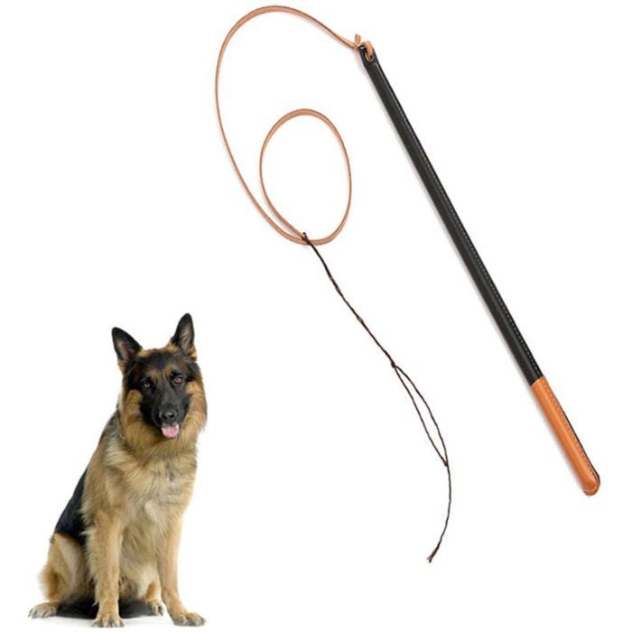 Fouet de dressage pour chien en similicuir outil professionnel avec poignée fournitures pour animaux de compagnie Label