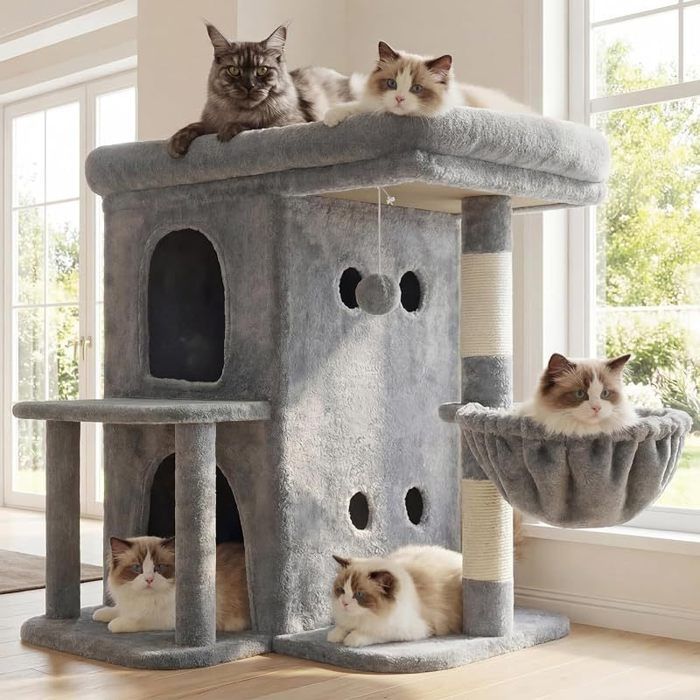 Arbre à Chat Tour de 65 cm pour Grands Chats avec Plateforme Spacieuse Cabines Double Couche Poteaux à Griffes Gris Clair