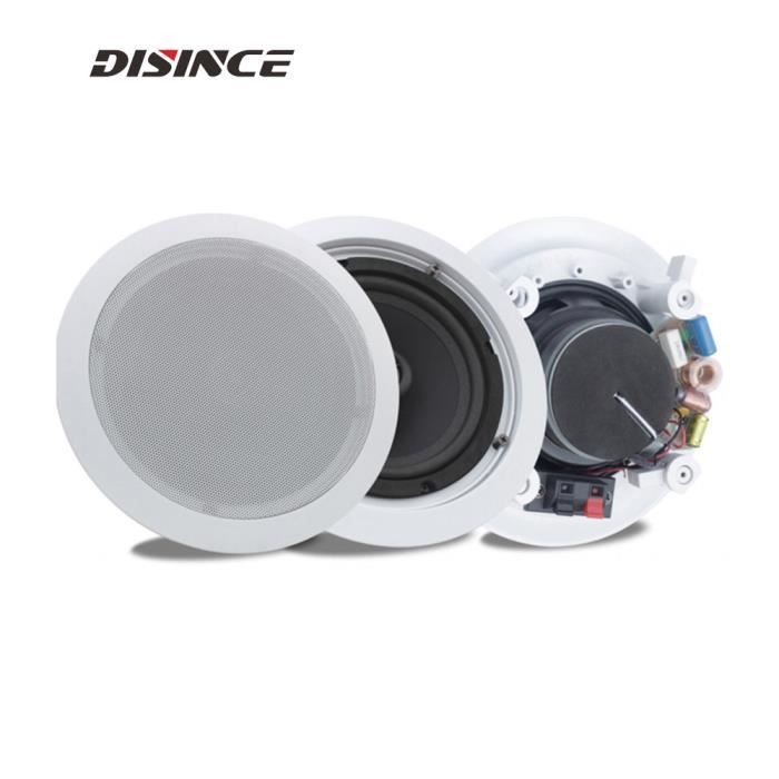 Membrane De Haut-parleur Passif / Radiateur De Basses - Remplacement Pour Caisson De Basses, Enceinte - En Fer
