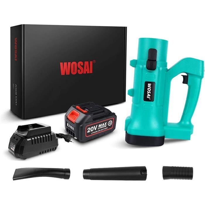 Souffleur Sans Fil 21V – Portable Et Léger Pour Jardin, Voiture, Camping – Vitesse Variable, Batterie Incluse