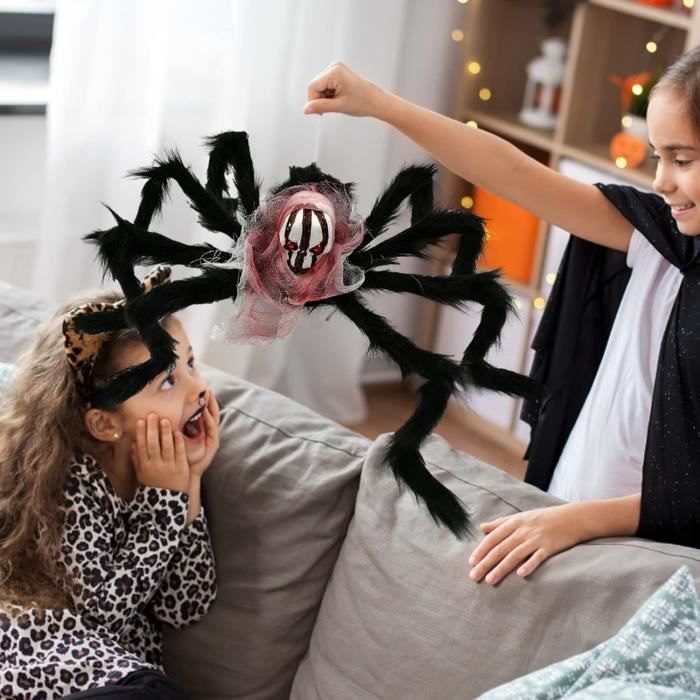 Araignée géante avec des pattes de près de 15 cm