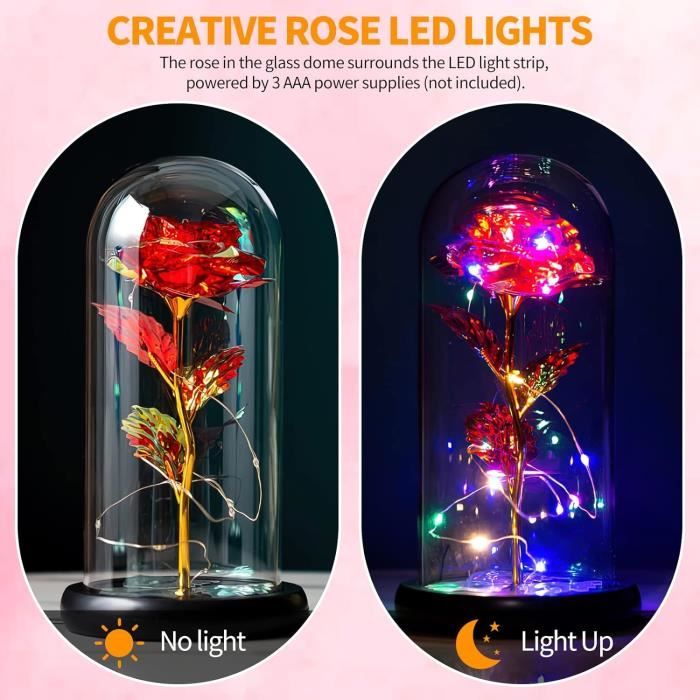 ADAZ Rose Eternelle Cadeau Femme Noel, La Belle et la Bête Rose en Verre avec Lumières LED Pine Base pour Cadeau Fête des Mères Saint Valentin Anniversaire Mariage pour Ses Femmes Petite