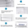 RELAX4LIFE 100W Réfrigérateur 85L avec Bac de Légume 2 Bacs sur Porte et 2 Tablettes Verre Amovible, Congélateur-3