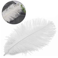 TD® 50 Pièces plumes d'autruche 30-35cm accessoires bijoux plumes de mariage faits à la main artisanat beau blanc