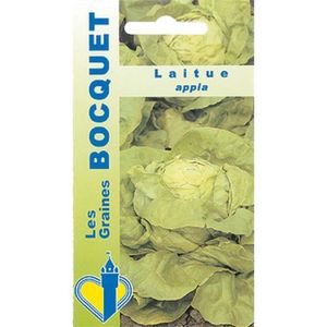 GRAINE - SEMENCE Sachet de  Laitue Appia - 3 g - feuille légume - LES GRAINES BOCQUET