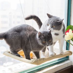 Hamac De Fenetre Pour Chat Ventouse Animaux De Compagnie Suspendus Lit Pour Animaux De Compagnie Pour La Perche De Chat Achat Vente Corbeille Coussin Hamac De Fenetre Pour Chat Cdiscount Hamac De Fenetre Pour Chat Ventouse Animaux De Compagnie Suspendus Lit Pour Animaux De Compagnie Pour La Perche De Chat Achat Vente Corbeille Coussin Hamac De Fenetre Pour Chat Cdiscount