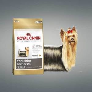 CROQUETTES Yorkshire terrier junior 7.5kg