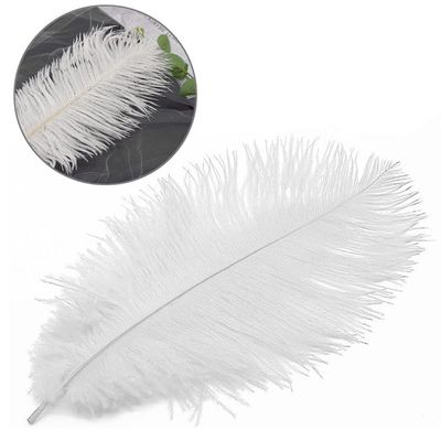 Garniture Frange Plumes Autruche - Ruban Satin 1.8m - Pour Costume, Déco, Artisanat - Sowder