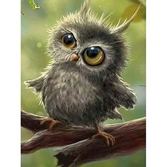 5d Diamant Peinture Mignon Bebe Hibou Sagesse Intelligente Perceuse Ronde Complete Diamant Strass Kits 25x30cm 7244 Cdiscount Beaux Arts Et Loisirs Creatifs