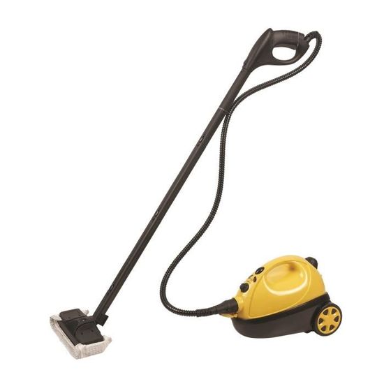 110V/220V Nettoyeur à vapeur manuel à haute pression et température