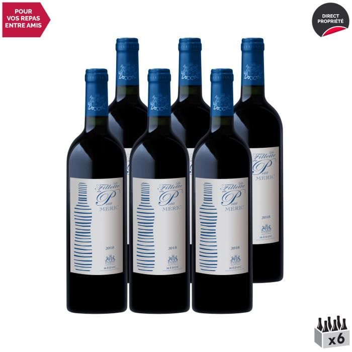 La Fillette du Petit Méric Rouge 2018 - Lot de 6x75cl - Château Méric - Vin Rouge de Bordeaux - Appellation AOC Médoc