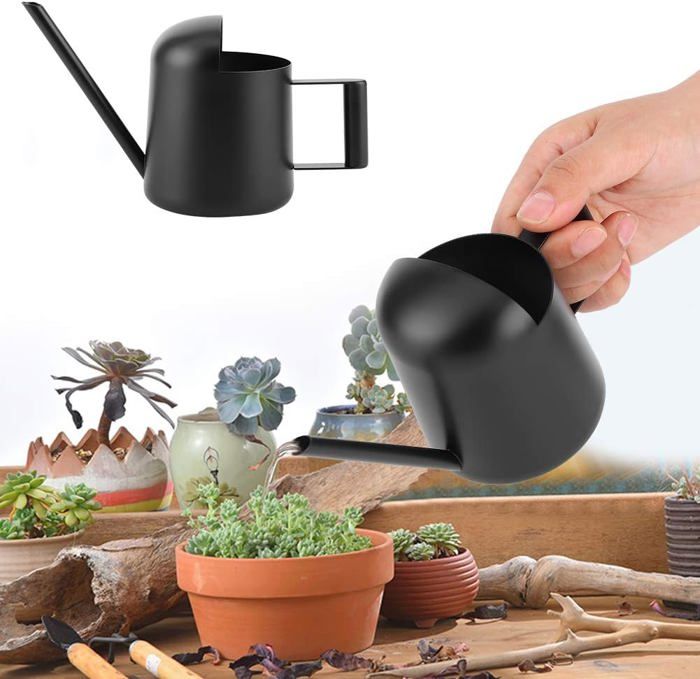 Mini Arrosoir 300ml Acier Inoxydable - Long Bec Pour Plantes D'Intérieur, Orchidées, Suspendues