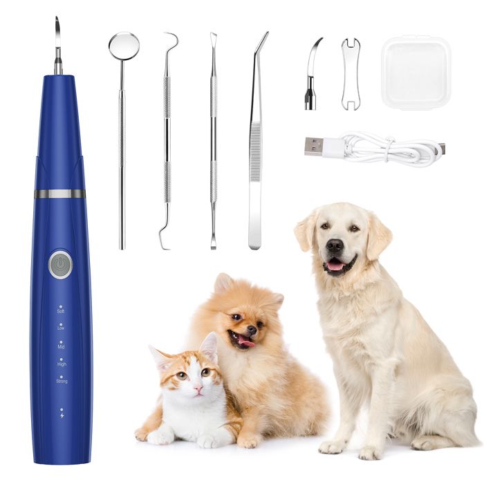 Meilleurs prix pour Kit de Nettoyage Dentaire Électrique pour Chien Kit de Brossage Dentaire pour Chien Brosse à Dents Ultrasonique Étanche IPX6
