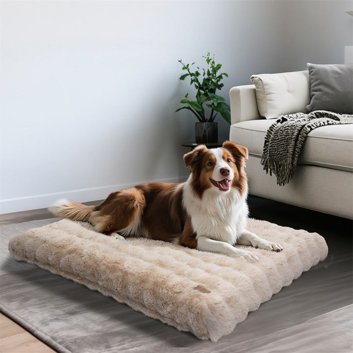 Comparer les prix de Panier pour Chien XL- BingoPaw - 105x70x12cm Coussin Chien Dehoussable Imperméable Housse Lavable avec Fond Antidérapant