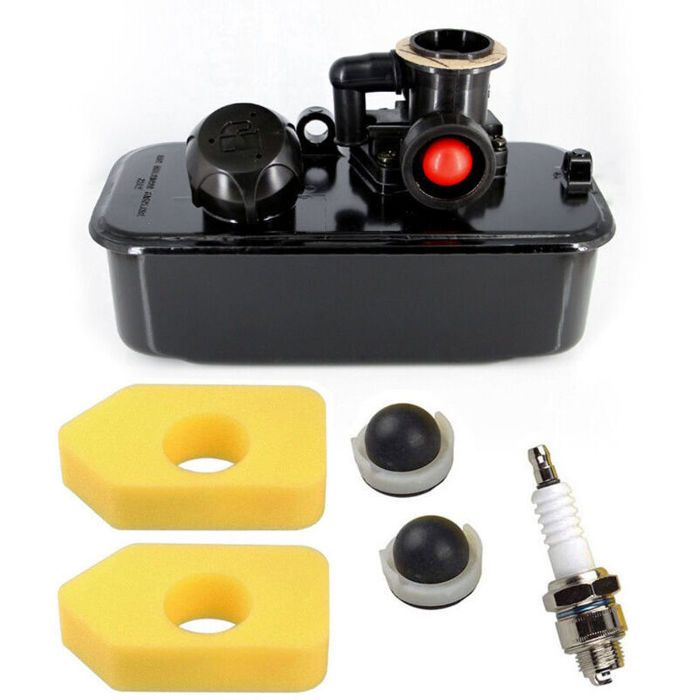 Carburateur Réservoir Compatible Briggs Stratton 494406 698369 699660 ...