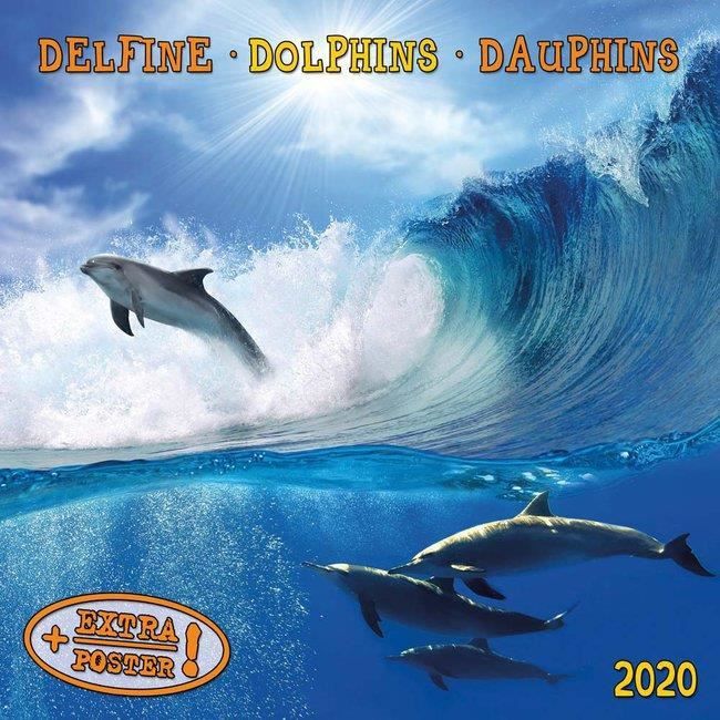 Calendrier 2020 Dauphin Avec Poster Offert Tush Aw Achat Vente Affiche Poster Calendrier 2019 Dauphin Avec Cdiscount