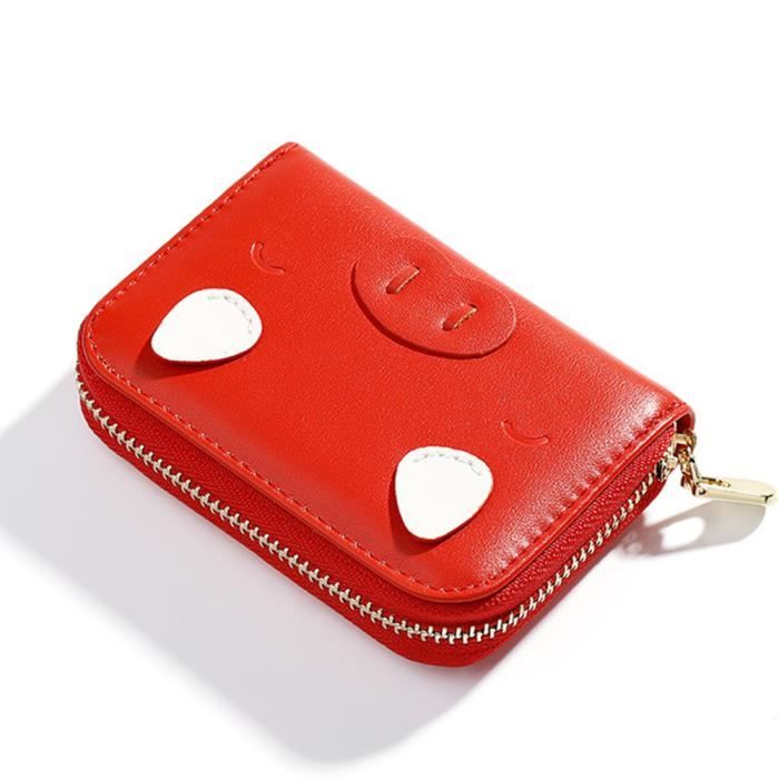 etui carte grise mini