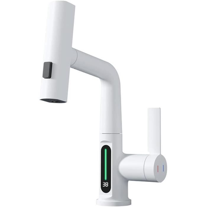 BuntHaus Robinet Lavabo Avec Douchette Extractible - 2 Modes Jet + Spray Supérieur - Chromé - Parfait Pour Brossage Dents & Visage