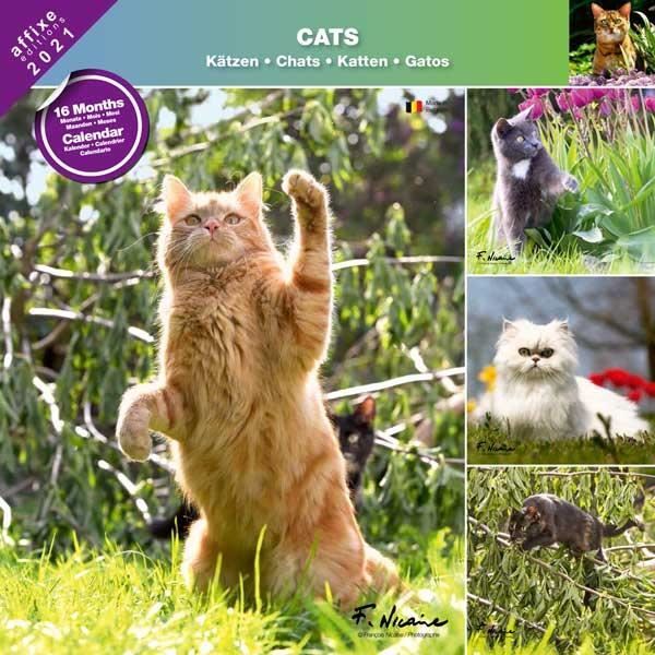 Calendrier Chats 21 Affixe Cdiscount Beaux Arts Et Loisirs Creatifs