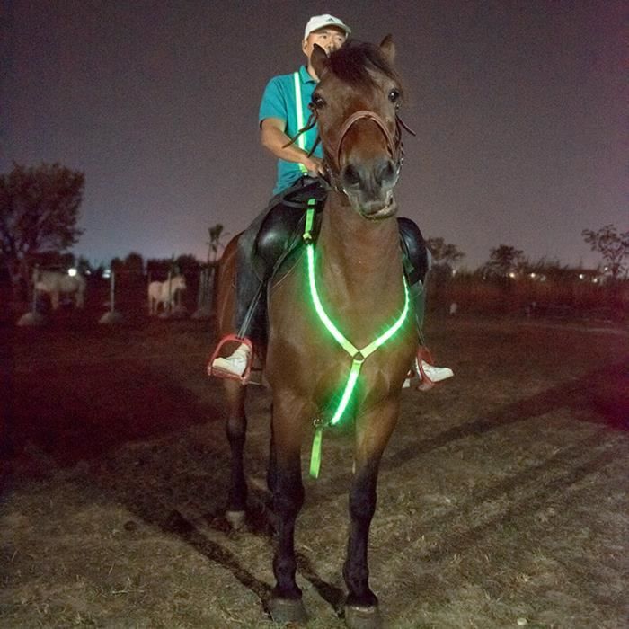 LED Harnais de Poitrine de Cheval Equipement d'équitation de Cheval  Fournitures Equestres Vert - Cdiscount