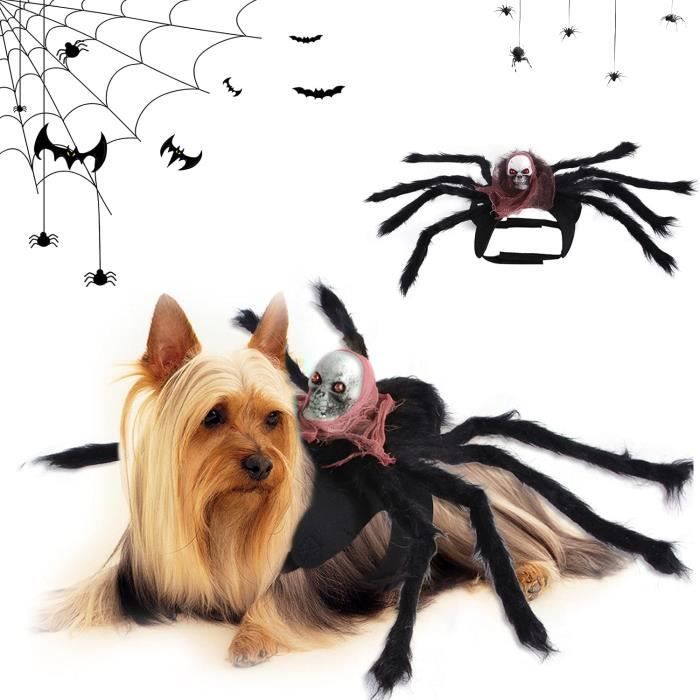 Costume De Chien De Araignee Halloween Costume D Halloween Pour Animaux Chien Chat Araignee Costumes Costume De Chien Costu 145 Cdiscount Costume De Chien De Araignee Halloween Costume D Halloween Pour Animaux Chien Chat Araignee Costumes Costume De Chien Costu 145 Cdiscount