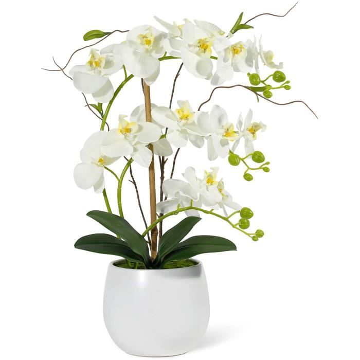 Orchidée artificielle en soie Grand bouquet de fleurs d'orchidée  artificielles en pot Fleurs blanches Centre de table Décorat 544 -  Cdiscount Maison